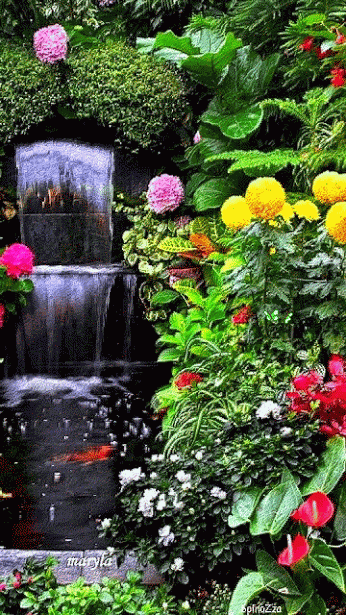 01266abe04b81666c650d1222a65e455.gif