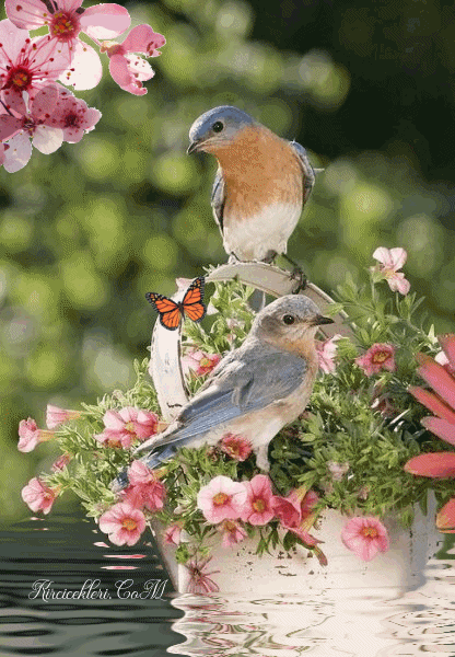 023811616fa70305c5ea30d7a6328cf5.gif