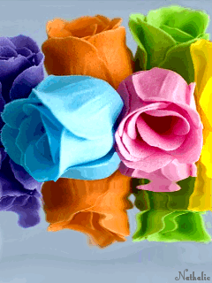 0344.gif