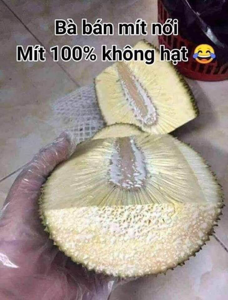 03936AA8-2E90-4EC8-82A5-5A0895560A6E.jpeg
