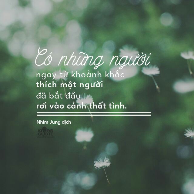 04d681e0200d3ef331fff1855c124119.jpg