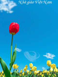 05-13-32-bo-su-tap-anh-dong-20-11-doc-dao-va-an-tuong-nhat-3.gif