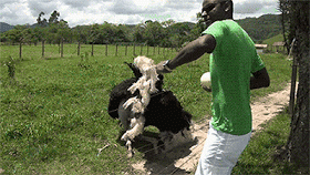 06e1d077-03f4-40d8-84d4-4731658e95b7.gif