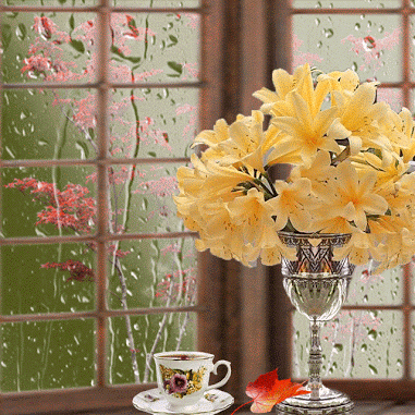 08a280a611a0ea21a8abfdaf0768de99.gif