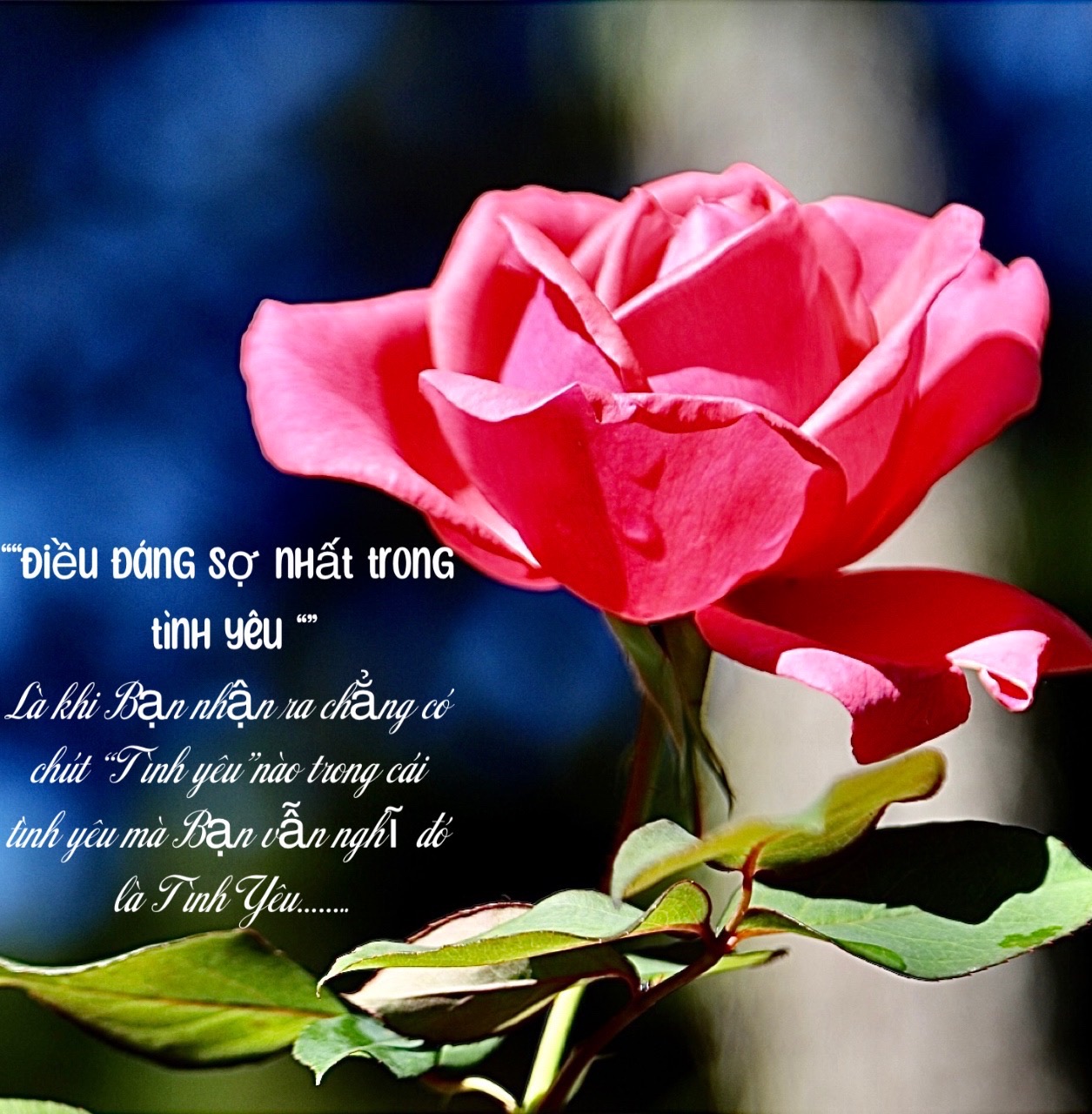 08DA872B-FE1F-44DE-AA81-94B525275893.jpeg
