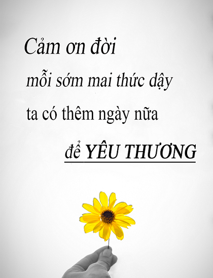 09.png