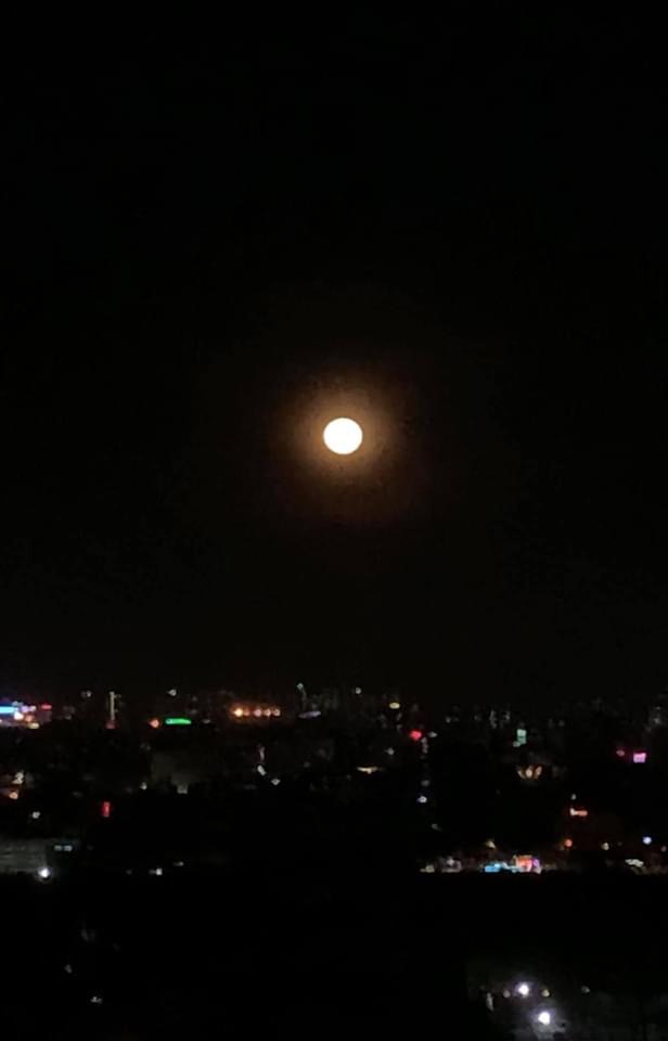 0929D469-6E7E-449F-B16B-E80AE6628A55.jpeg
