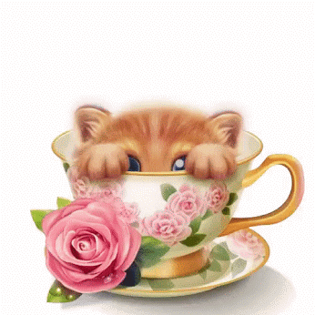 0_191274_9b7a916b_orig.gif