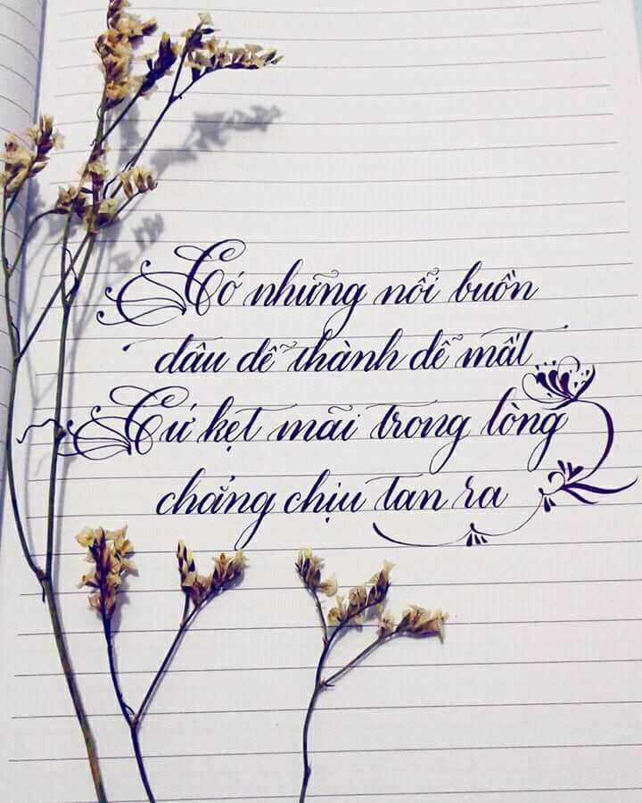 0c99b88747c25dc43f3dc4e522434c29.jpg