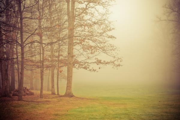 10600_401[1].jpg