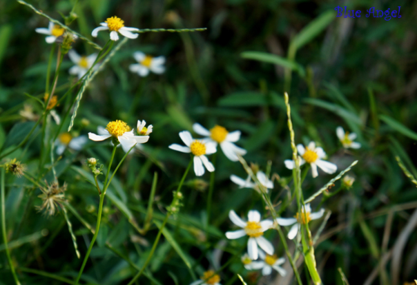 11_2008310221[1].jpg