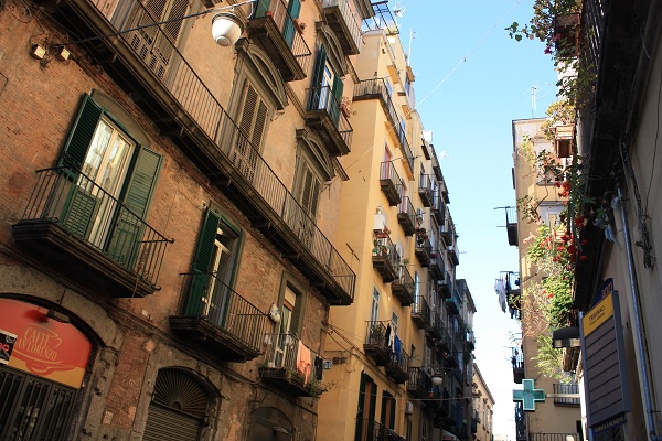 120809kpvenice07-078a9[1].jpg