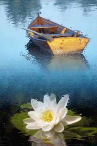 1224909.gif