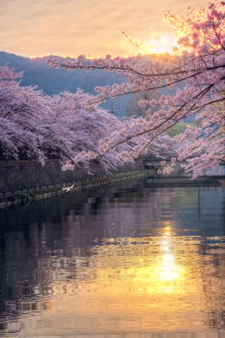 1226048.gif