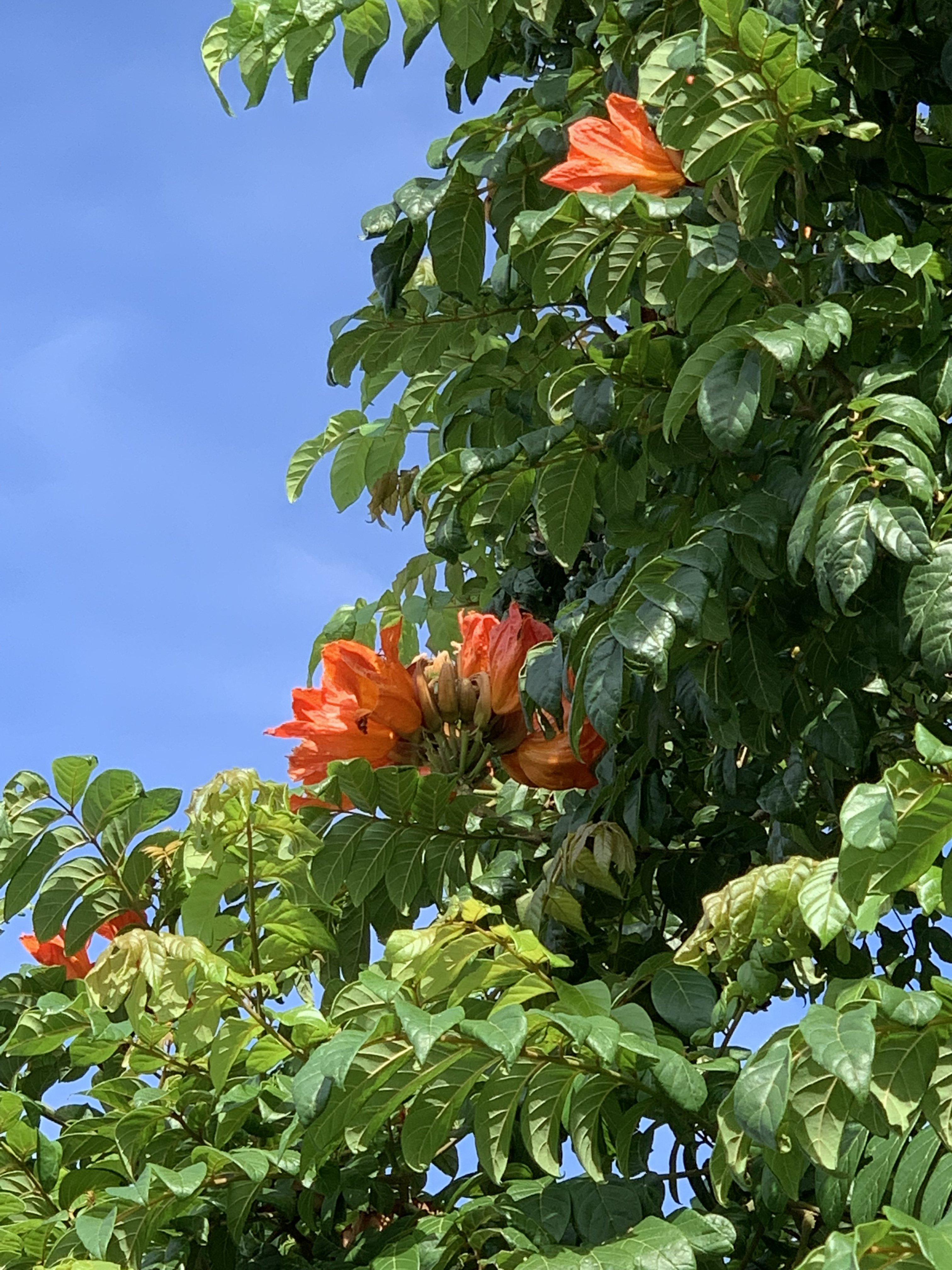 12A3ABA7-12D0-421A-A08A-22530C2511B3.jpeg