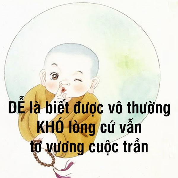 13256002_1744003795838592_2323124685281882089_n.png