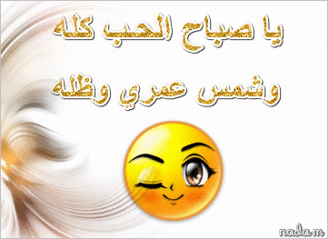 13852928712.gif