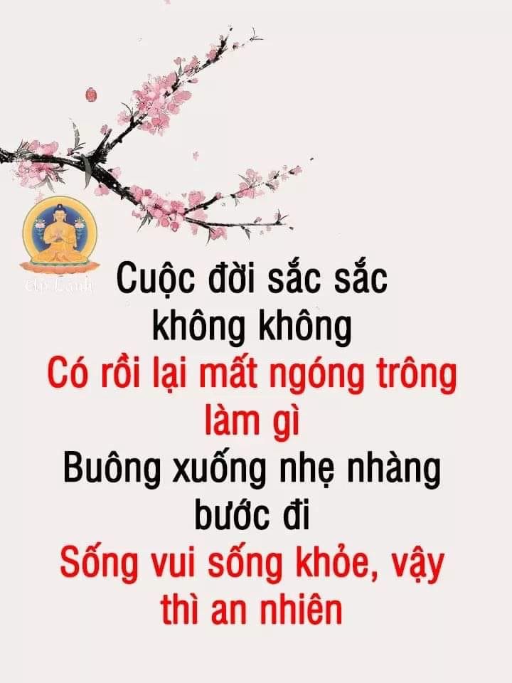 138A84B6-92D3-4049-B904-FD3087850DB9.jpeg