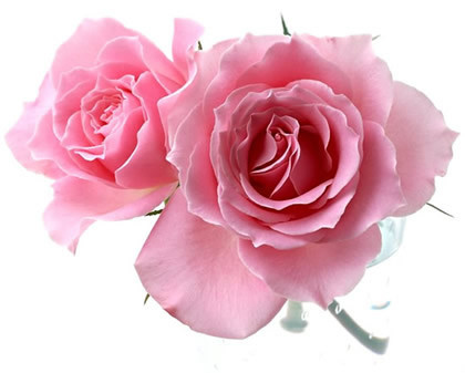 13d53734.jpg