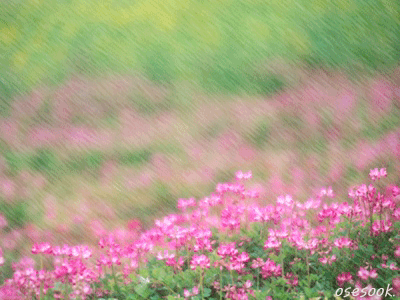 1409286545153444[1].gif