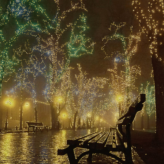 145673409007252[1].gif