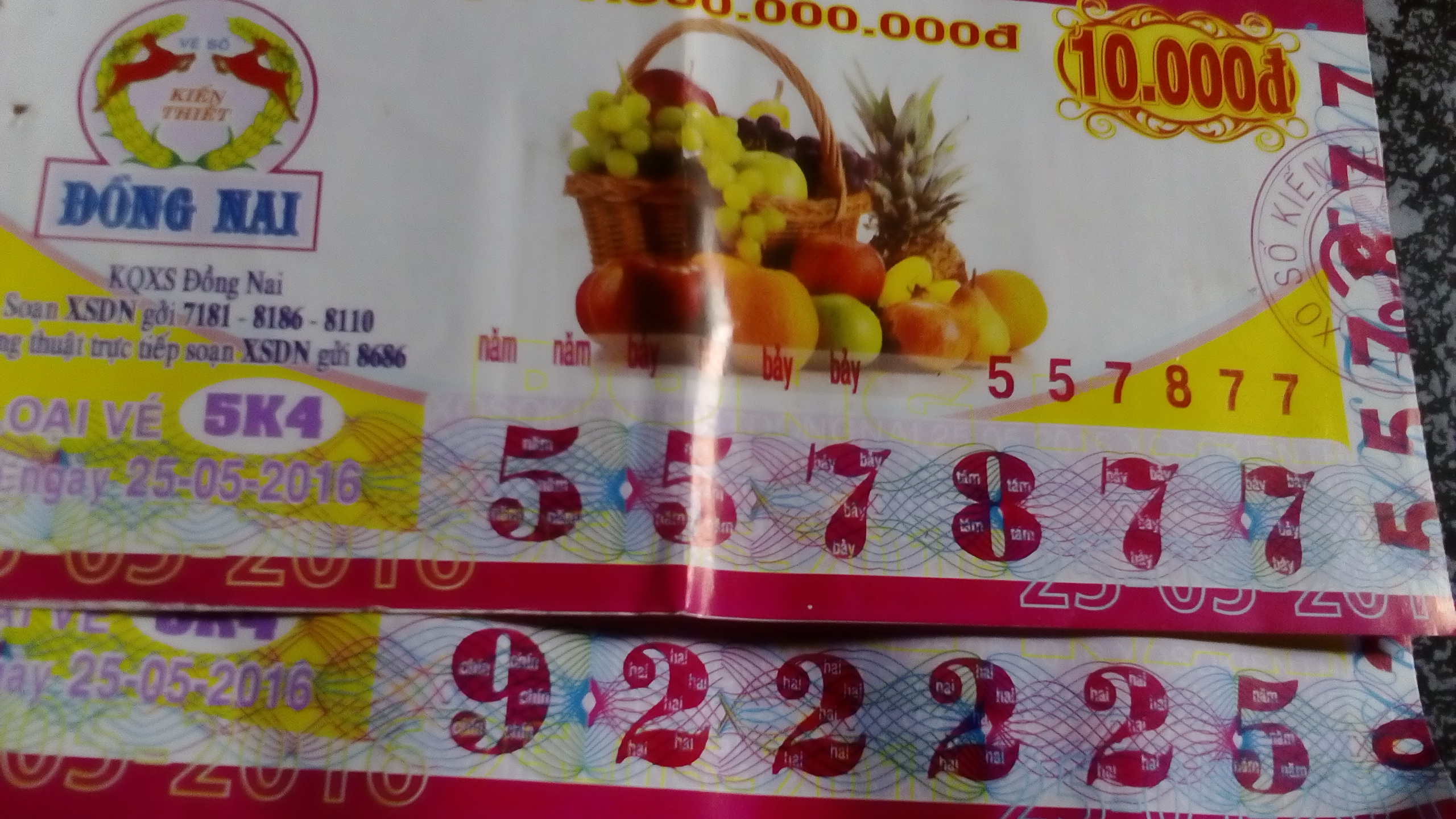 1464145290747-916877070.jpg