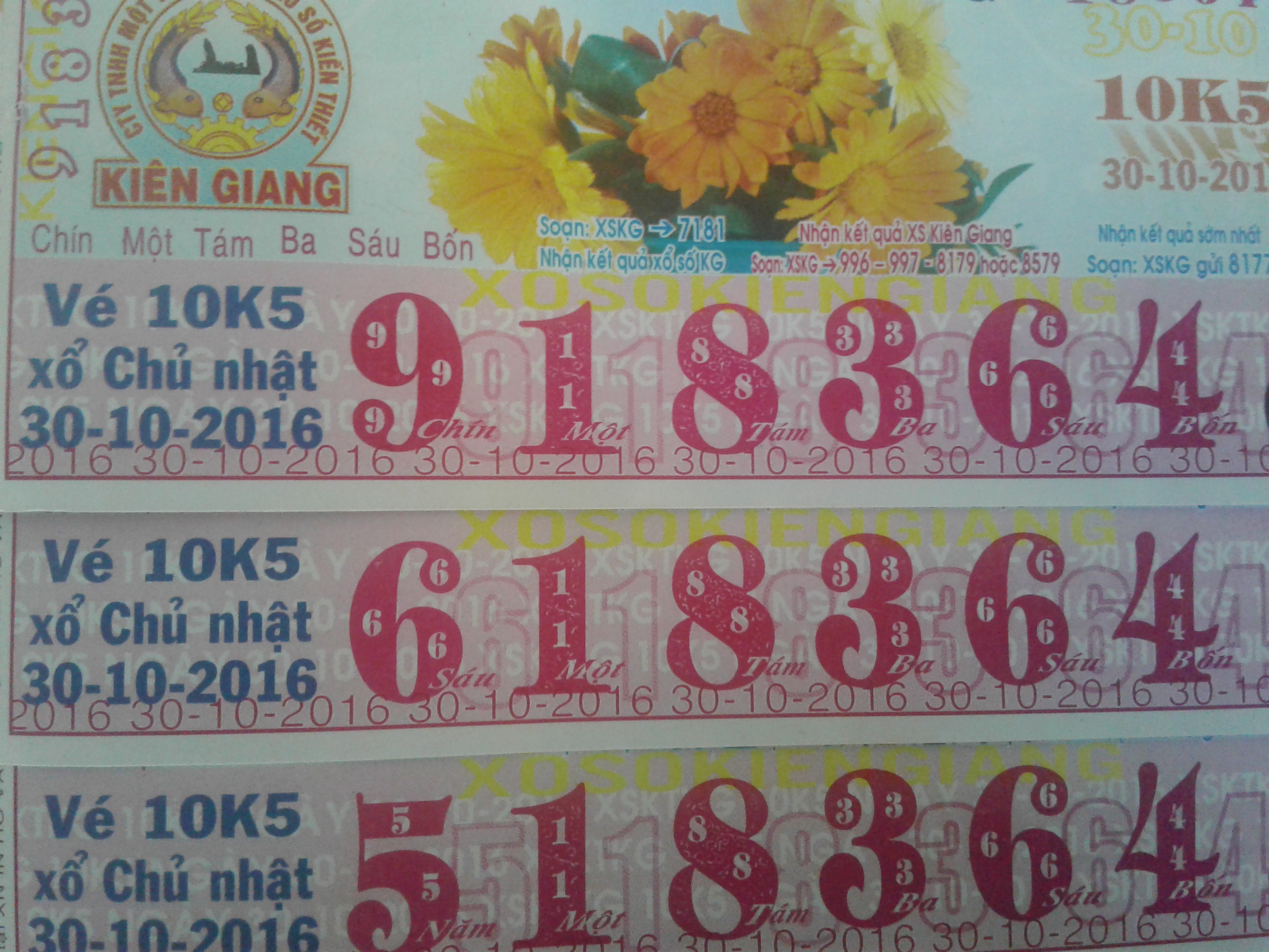 14777943850241221972521.jpg