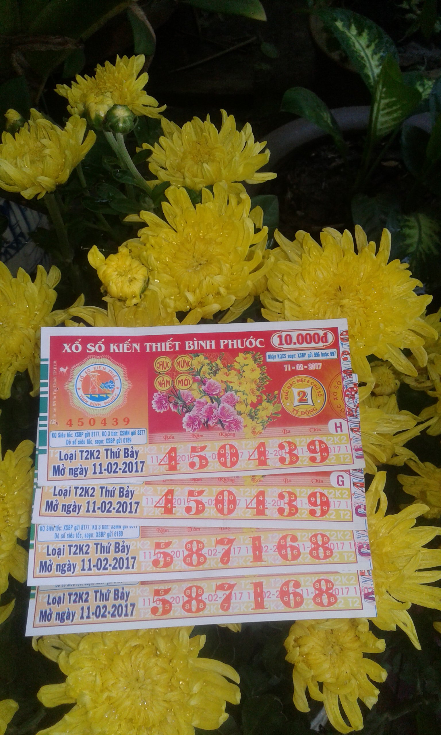 14867786806082048002778.jpg