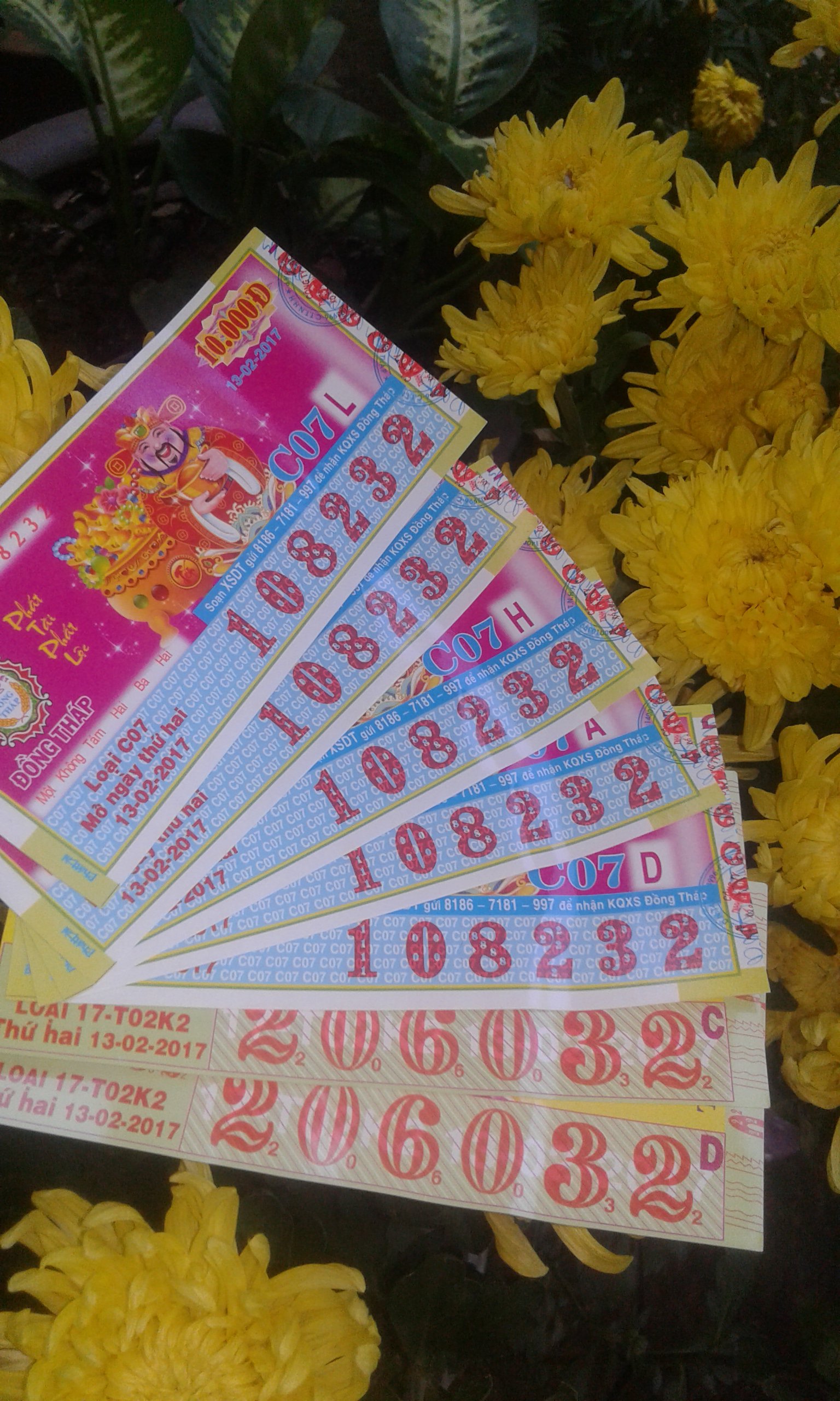 14869623238292048002778.jpg