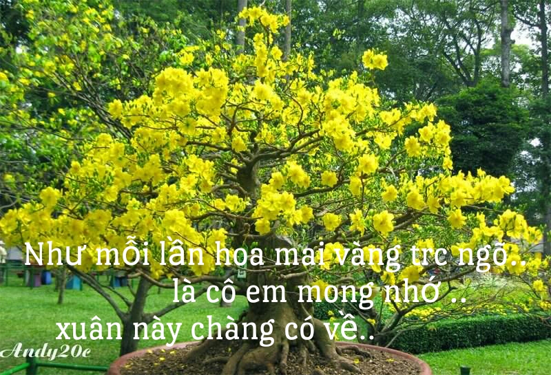 1490285432547.jpg
