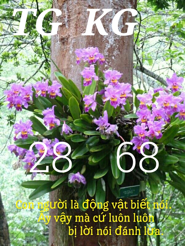 1490457122745.jpg