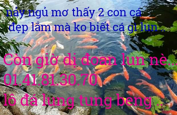 1491037091198.jpg