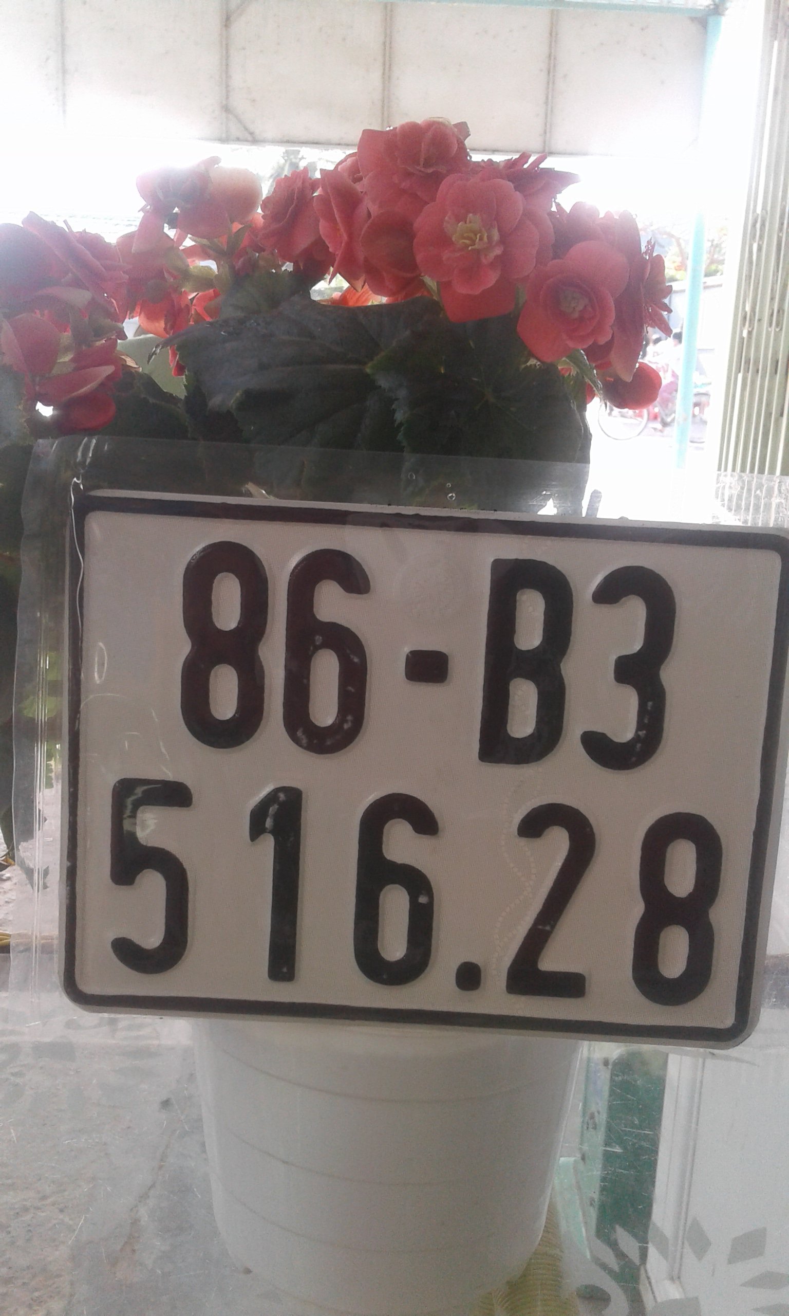 1491266283158316599150.jpg