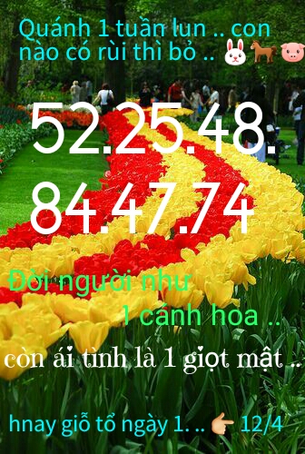 1491457792796.jpg