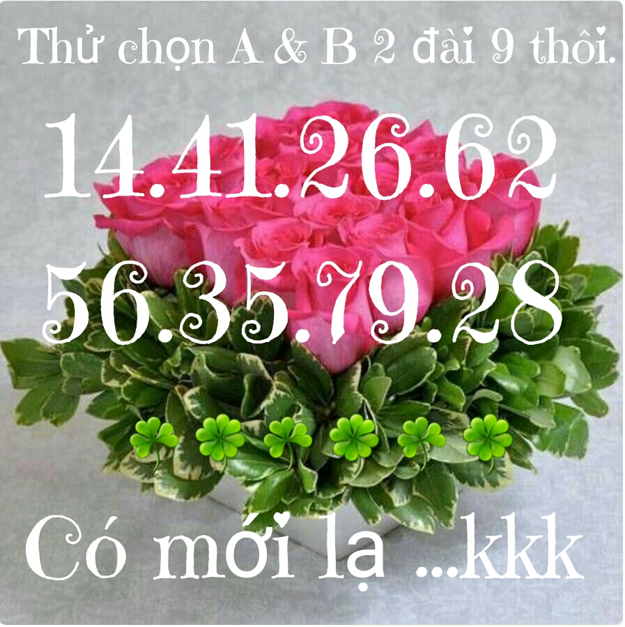 1491555462586.jpg