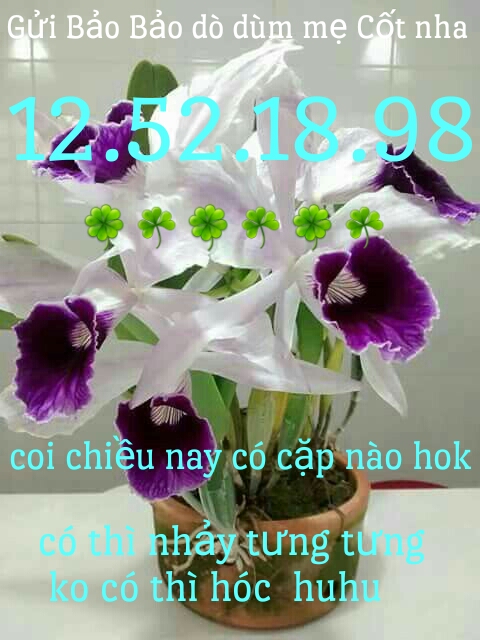 1491718338758.jpg