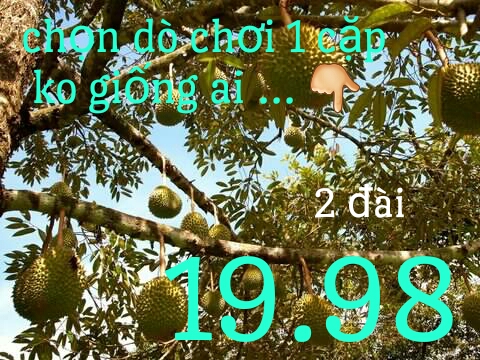 1493279837125.jpg