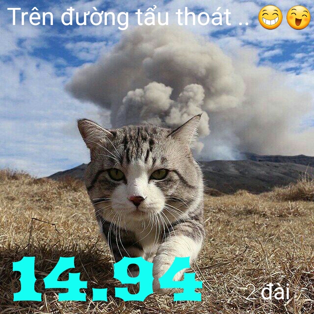 1496023239720.jpg