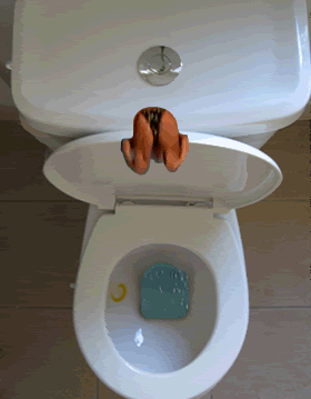 15-12nhung-hinh-anh-dong-hai-huoc-cuc-ki-vui-nhon8.gif