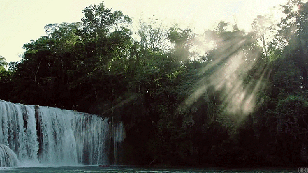 150212_16thiennhien-14786[1].gif