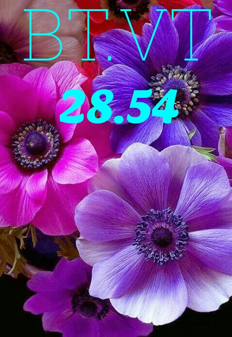 1503387384648.jpg