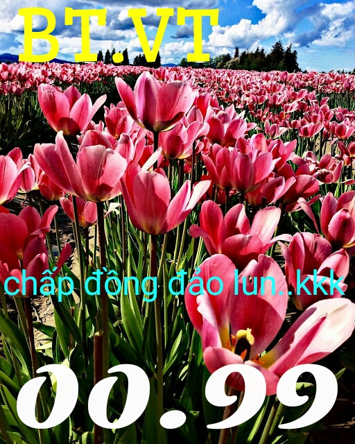 1503933771446.jpg