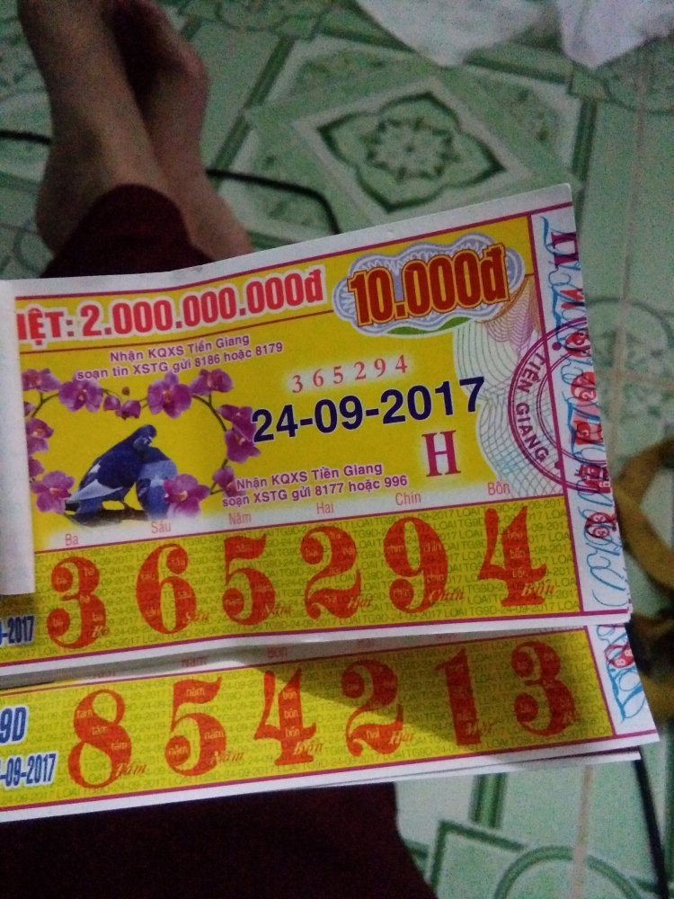 150624293437013424520.jpg