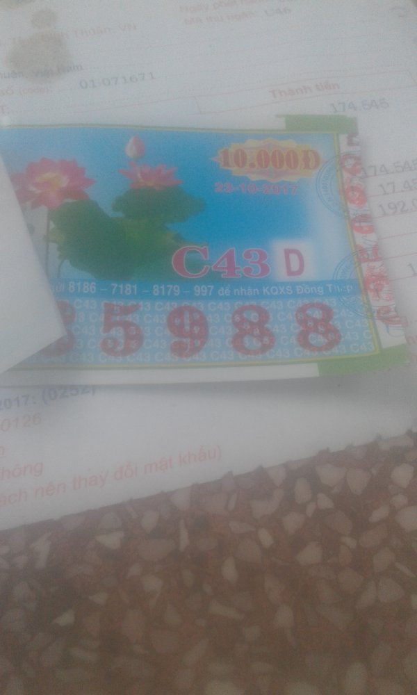 15087285113681798726049.jpg