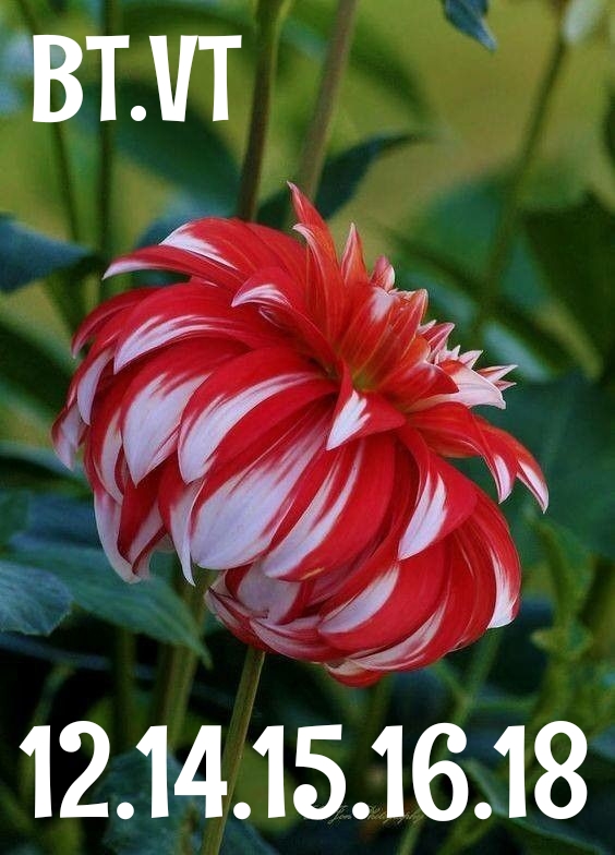 1510647595866.jpg