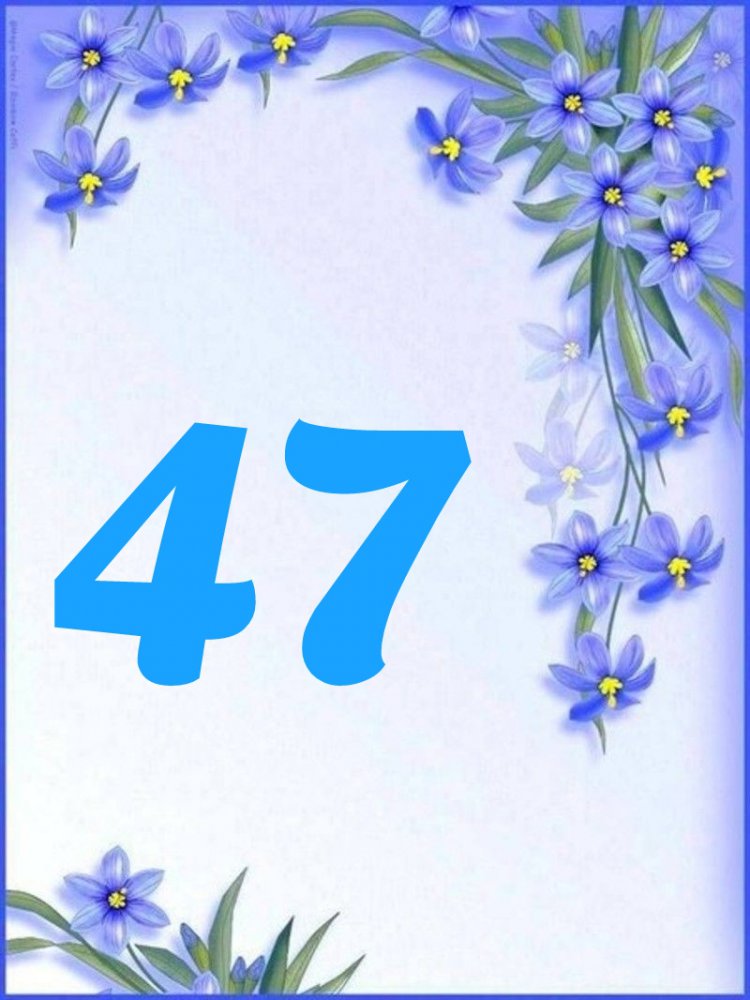 1512554047546.jpg
