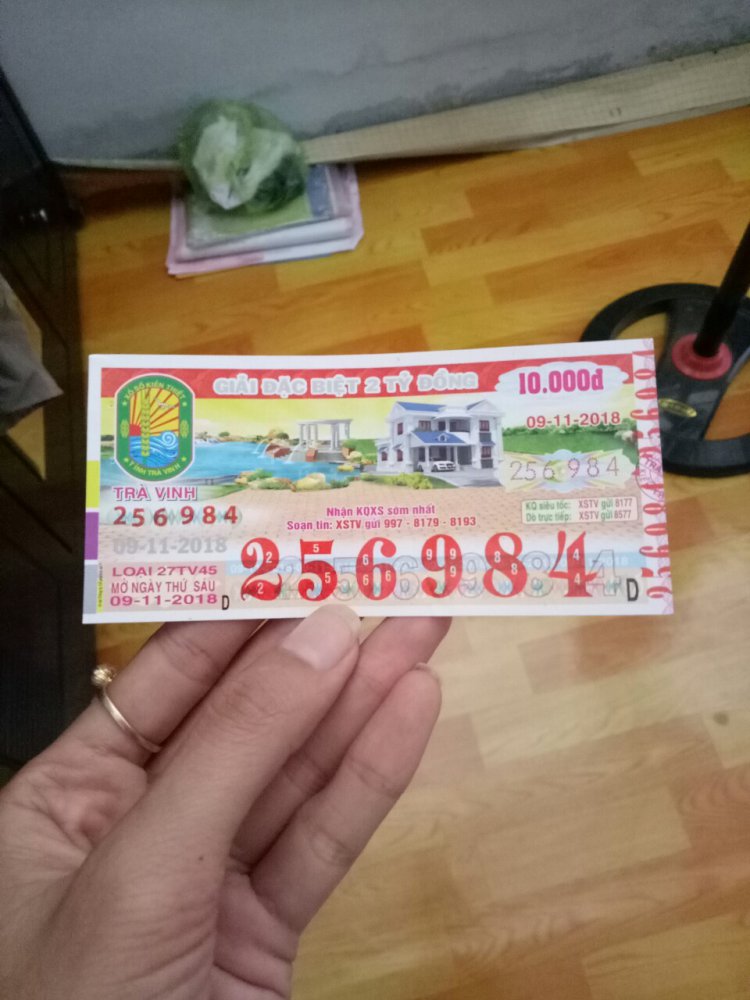 1541741981827.jpg