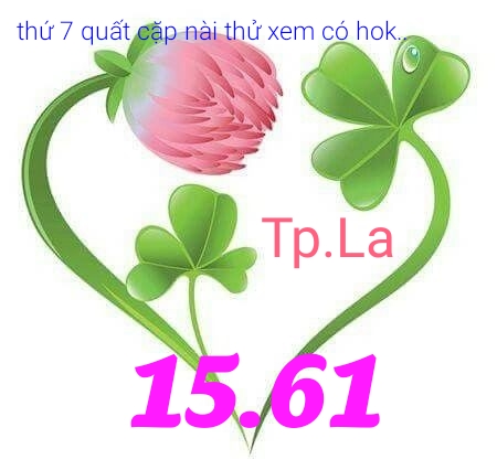 1541780452026.jpg