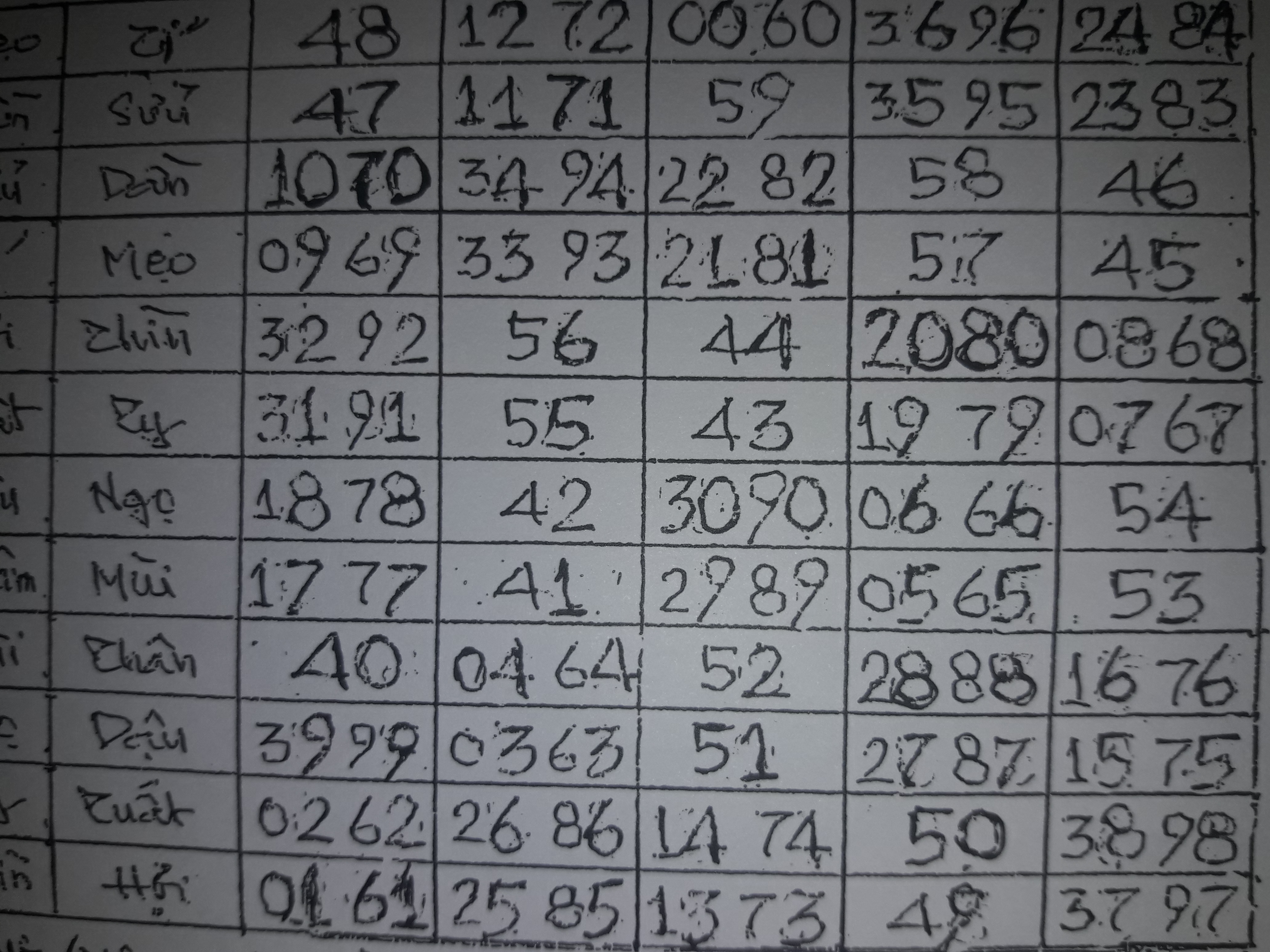 15508210718047415819955652505091.jpg