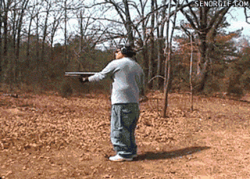 1555668395-716-2-1555664100-width500height358.gif